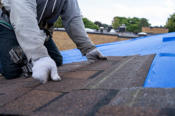Best Roof Maintenance Services  in White Salmon, WA